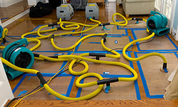 Professional Sewage Cleanup technician working in Huntsville, MO